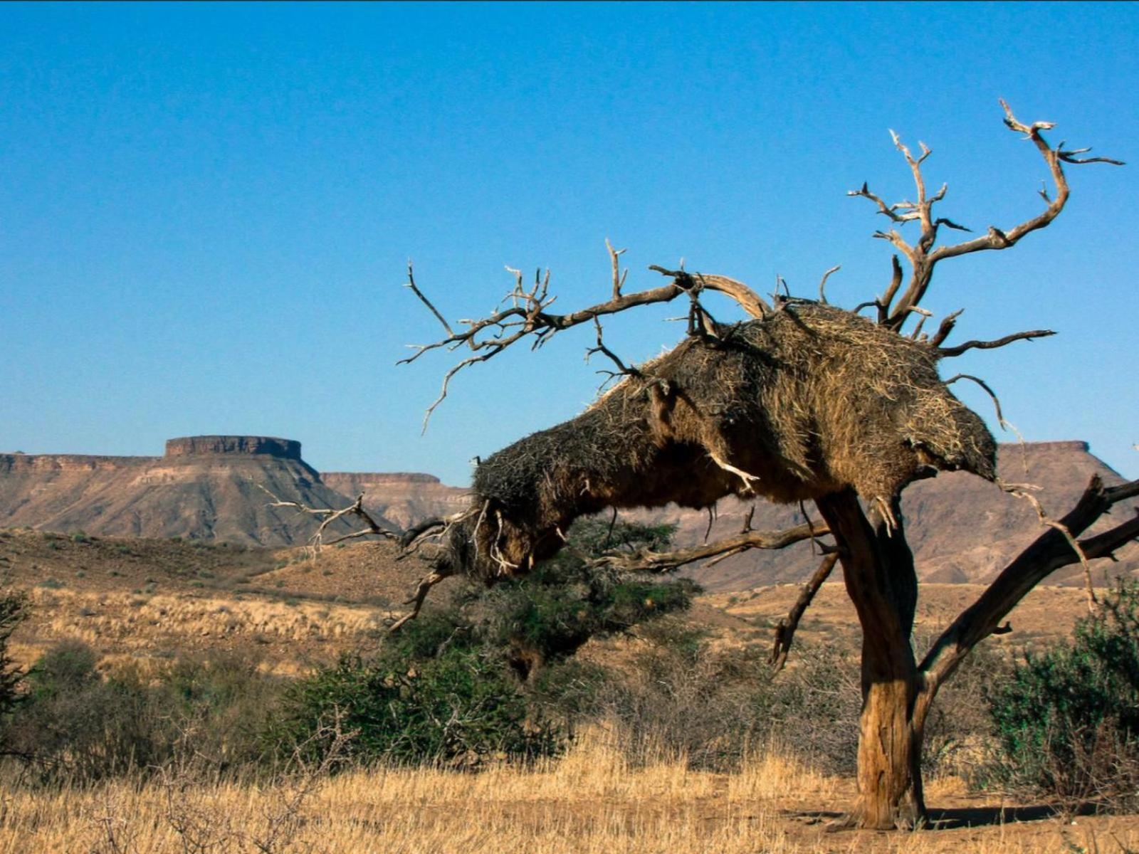 Mount Canyon Guest Farm Кітмансгуп Екстер'єр фото